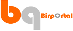 Bir pOrtal !